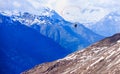 Paraglider flying over mountains in the summer day sky, Paragliding recreation sport leisure activities. Swiss Alps in Zermatt Royalty Free Stock Photo