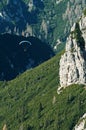 Paraglider flying over pine tree mountain slope Royalty Free Stock Photo