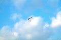 Paraglider flying over sea. Paraglider flies colorful paraglider in the blue sky. Royalty Free Stock Photo