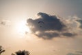 Paraglider flying over sea.Paraglider flies colorful paraglider in the blue sky. Royalty Free Stock Photo