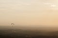 Paraglider flying at sunset