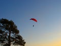 Paraglider motorized paraglider in the sky, sunset , black tree silhouette