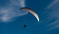 Paraglider Over Gower
