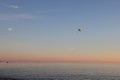 Paraglider in the sky in the rays of the setting sun, marine atmospheric background in pastel colors