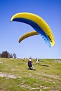 Paragliders