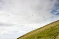 Paragliders