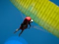 paragliders bottom view of the wing, blurred Royalty Free Stock Photo