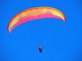 Paragliders in the sky above the Churfirsten mountain range and Seeztal subalpine valley, Walenstadtberg - Canton of St. Gallen Royalty Free Stock Photo