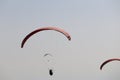 Paragliders in the sky