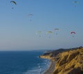 A flock of paragliders