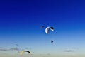 Paragliding Royalty Free Stock Photo
