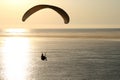 Paragliding Royalty Free Stock Photo