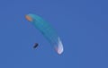 Paragliding against the blue sky Royalty Free Stock Photo