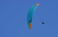 Paragliding against the blue sky Royalty Free Stock Photo