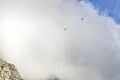 Paragliders floating in clouds over Table Mountain, Cape Town. Royalty Free Stock Photo