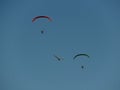 Paragliding with birds at blue sky