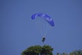 People fly over green trees on a blue paraglider