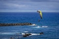 Paragliding in blue sky over Puerto de la Cruz on Tenerife Royalty Free Stock Photo