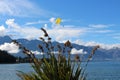 Paragliding on Lake Wakatipu New Zealand South Island of New Zealand Royalty Free Stock Photo