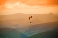 Paragliding, Mount Wellington Royalty Free Stock Photo