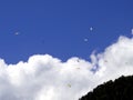 Paragliding, parachute over the mountain Royalty Free Stock Photo