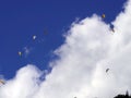 Paragliding, parachute over the mountain Royalty Free Stock Photo