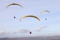 Paragliding Royalty Free Stock Photo