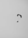 paragliding in the sky in black and white