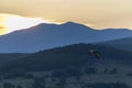 Paragliding at sunset with amazing view Royalty Free Stock Photo