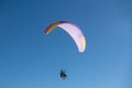 Paragliding tandem flights above ski resort.