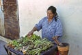 Paraguayan female street vendor sells spices Royalty Free Stock Photo