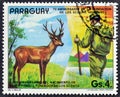 Paraguay The 75th Anniversary of Boy Scouts Movement