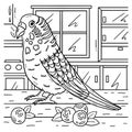Parakeet Bird Coloring Page for Kids