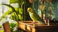 A parakeet perched on a desk with tropical-themed decorations. picture Royalty Free Stock Photo