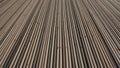 Parallel bamboo sticks laid horizontally create a textured surface Royalty Free Stock Photo
