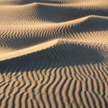 Parallel ridges shaped by the wind, highlighting the undulating texture Royalty Free Stock Photo