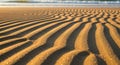 Parallel ripples in golden sand create a mesmerizing pattern, extending towards a softly blurred Royalty Free Stock Photo