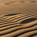 Of the sand are accentuated by the lighting giving the scene a Royalty Free Stock Photo