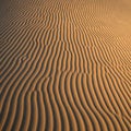 Parallel wave-like patterns of sand ripples extend across the surface, created by wind erosion. The Royalty Free Stock Photo