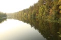 Parallel world and Mirroring - forest in the river