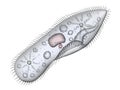 Paramecium