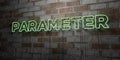 PARAMETER - Glowing Neon Sign on stonework wall - 3D rendered royalty free stock illustration