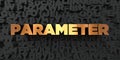 Parameter - Gold text on black background - 3D rendered royalty free stock picture