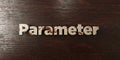 Parameter - grungy wooden headline on Maple - 3D rendered royalty free stock image