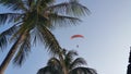 Parameter over coconut tree under blue sky