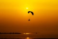 Paramotor flying on sunset background