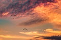 Paramotors flying on sunset Royalty Free Stock Photo