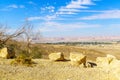 Paran and the Arava desert landscape Royalty Free Stock Photo