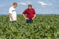 Undefined farmer in corn field