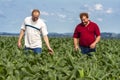 Undefined farmer in corn field